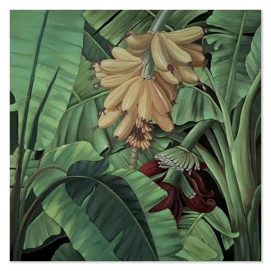 Il Banano 100×100