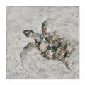 Tortoise 60×60