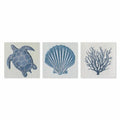 Sea life – Set 3 pz 30×30