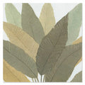 Calathea 100×100