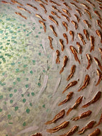 DANZA DI ANFITRITE