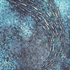 FISH VORTEX MARINE