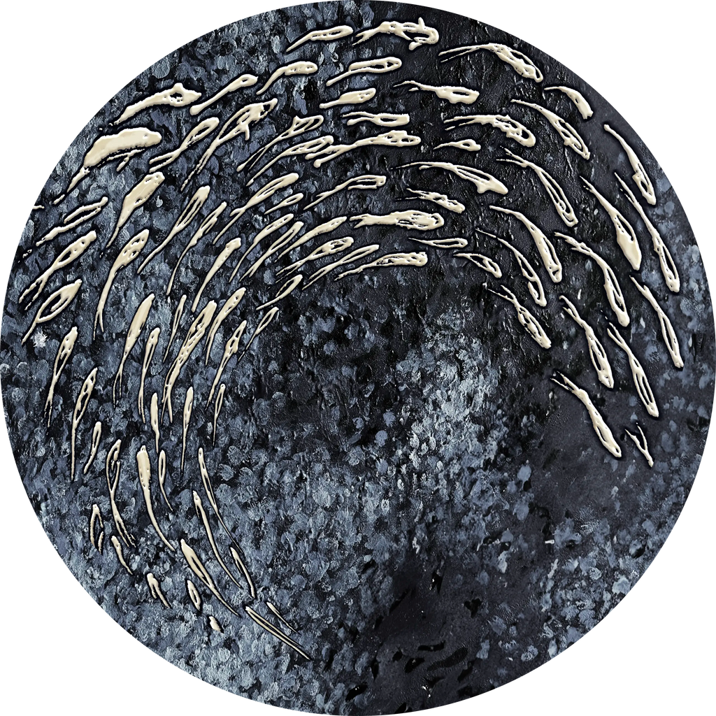 FISH VORTEX ROUND