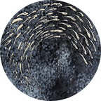 FISH VORTEX ROUND