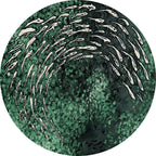 FISH VORTEX ROUND