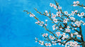 MANDORLO IN FIORE