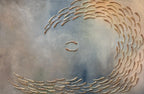 FISH VORTEX INCANTO