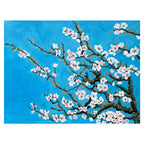 MANDORLO IN FIORE