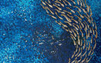 FISH VORTEX MARINE - Alessandro Vinci - Quadri Su Commissione