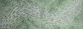 FISH VORTEX MEDITATION VERDE - Alessandro Vinci - Quadri Su Commissione