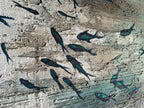 MALDIVES (NEW)