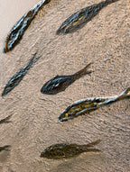LA VIA DEL MARE